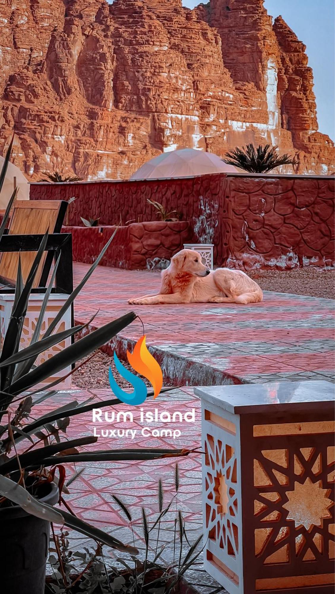 Rum Island Luxury Camp & Bubbles Hotel Wadi Rum Exterior photo